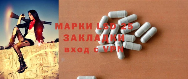 ПСИЛОЦИБИНОВЫЕ ГРИБЫ Алзамай