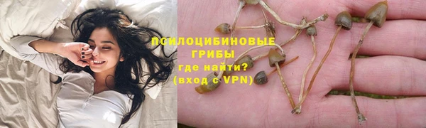 молекула духа Аркадак