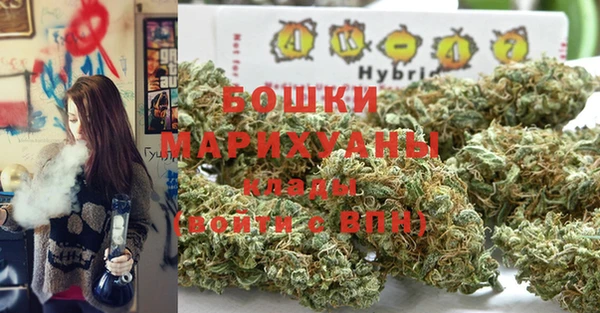 молекула духа Аркадак