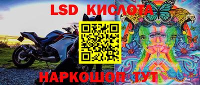 крисы Малгобек