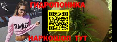 крисы Малгобек