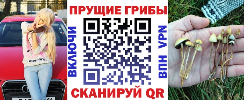 Псилоцибиновые грибы Psilocybine cubensis Дмитров