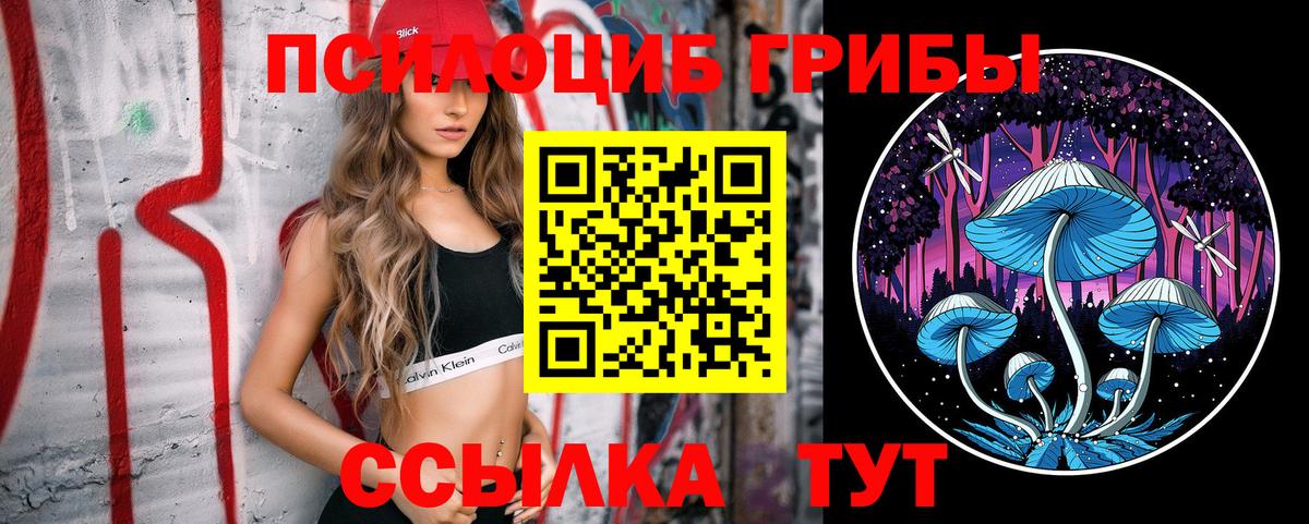 Псилоцибиновые грибы Psilocybe  Псилоцибиновые грибы GOLDEN TEACHER  как найти   Дмитров  Вход с VPN 