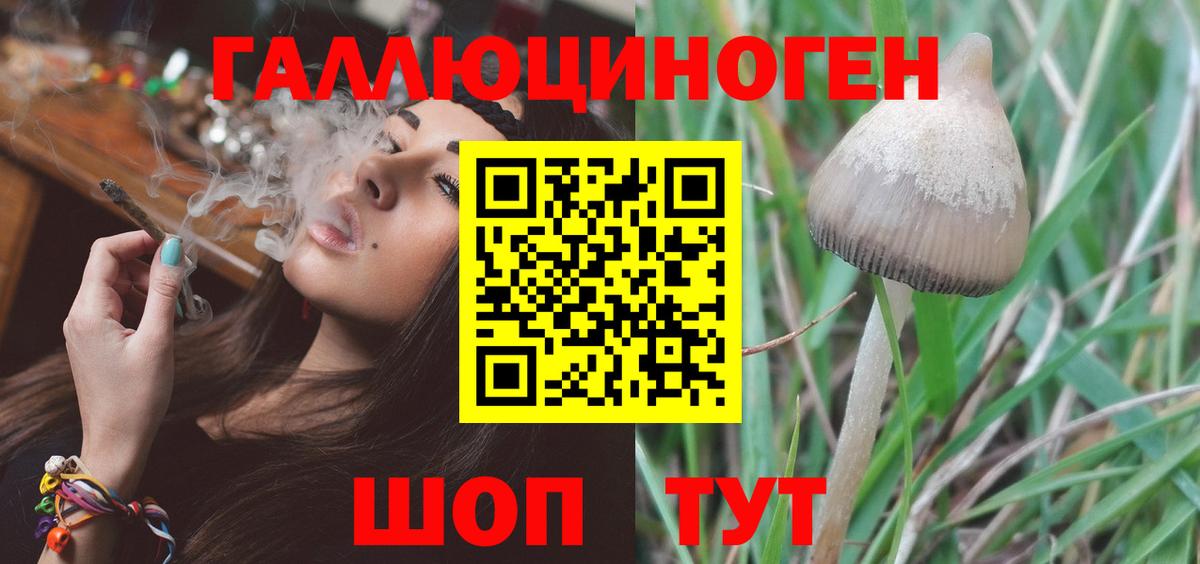 Галлюциногенные грибы Magic Shrooms Дмитров